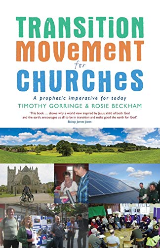 Stock image for The Transition Movement for Churches: A Prophetic Imperative for Today for sale by Ria Christie Collections