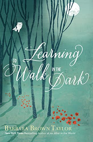 9781848256156: Learning to Walk in the Dark: Because God often shows up at night