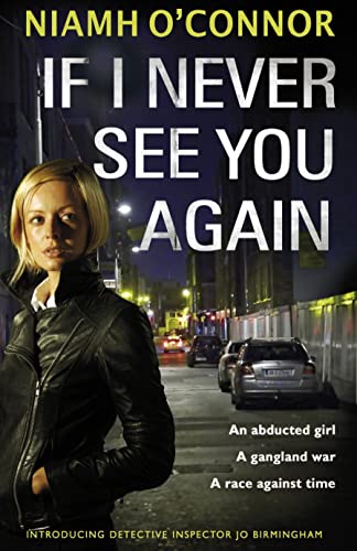 9781848270916: If I Never See You Again (A Jo Birmingham Thriller)