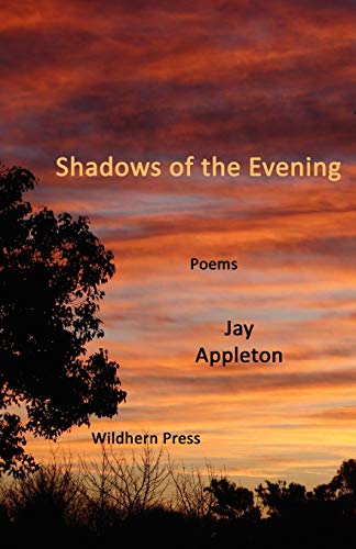 9781848302068: Shadows of the Evening