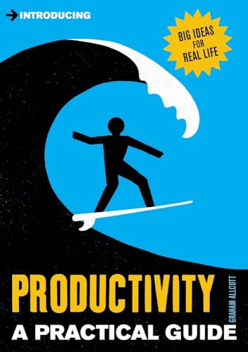 9781848316492: Introducing Productivity: A Practical Guide