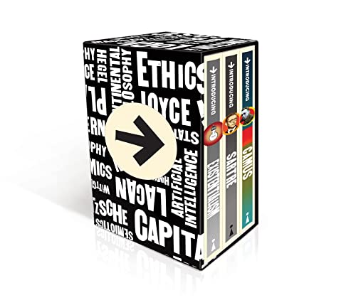 9781848317536: Introducing Graphic Guide Box Set - Why Am I Here?: A Graphic Guide (Graphic Guides)