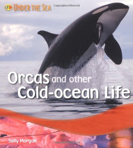 Orcas and Other Cold Ocean Life (9781848350557) by Morgan, Sally