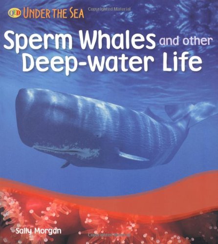 Beispielbild fr Sperm Whales and Other Deep Water Life (Under the Sea) zum Verkauf von AwesomeBooks