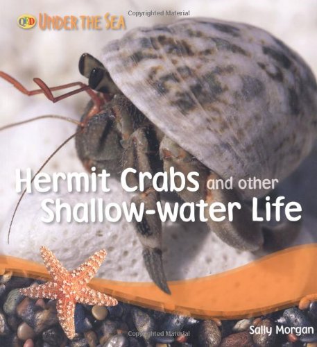 Beispielbild fr Hermit Crabs and Other Shallow Water Life (Under the Sea) zum Verkauf von WorldofBooks