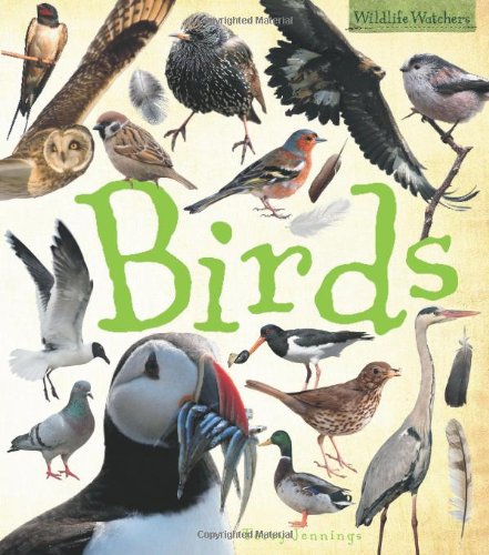 9781848351790: Birds (Wildlife Watchers)