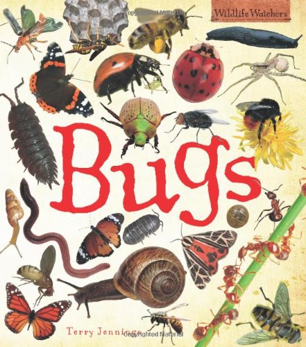 9781848351806: Bugs (Wildlife Watchers)