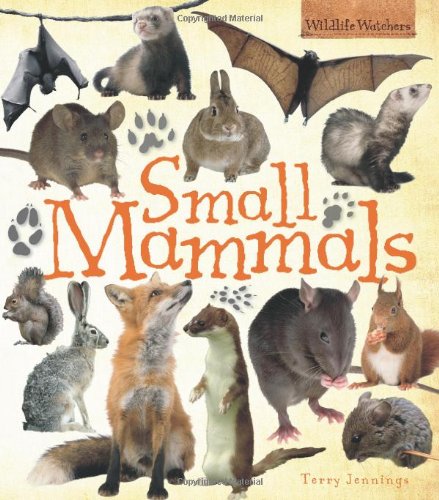 9781848351820: Small Mammals (Wildlife Watchers)