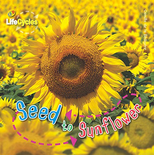 Beispielbild fr Seed to Sunflower zum Verkauf von Better World Books