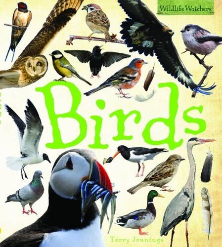 9781848352339: Birds (Wildlife Watchers)