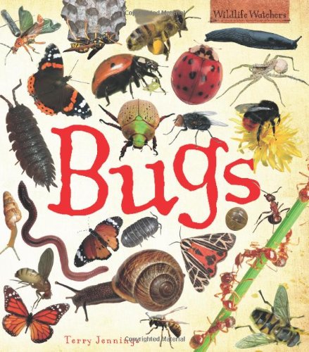 Beispielbild fr Bugs (Wildlife Watchers) zum Verkauf von WorldofBooks