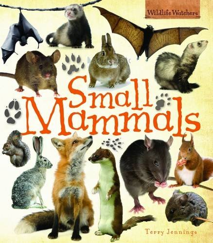 Beispielbild fr Small Mammals (Wildlife Watchers) zum Verkauf von WorldofBooks