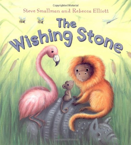 9781848353695: The Wishing Stone (Storytime)