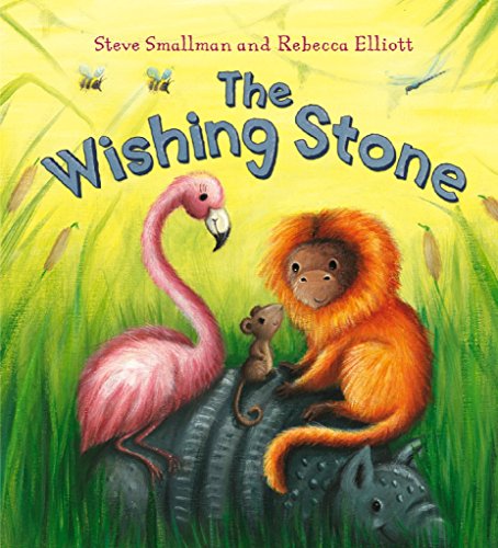 9781848354364: The Wishing Stone (Storytime)