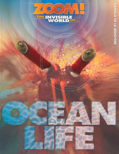 Stock image for Ocean Life (Zoom! The Invisible World) (Zoom! The Invisible World of.) for sale by WorldofBooks