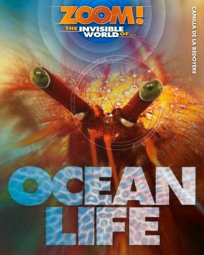 Beispielbild fr Zoom! The Invisible World of Ocean Life zum Verkauf von WorldofBooks