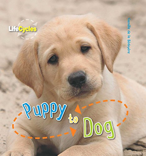 9781848355828: Puppy to Dog (12) (LifeCycles)