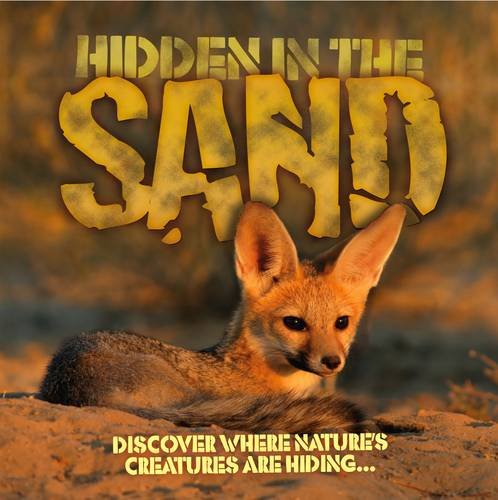 Stock image for Hidden in the Sand for sale by WorldofBooks