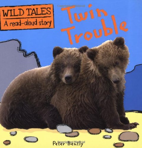 9781848356450: Twin Trouble
