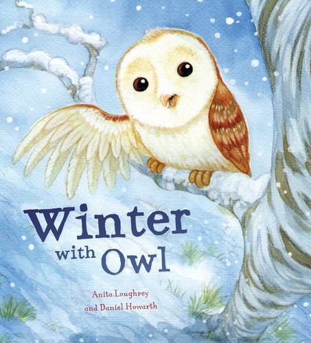 Beispielbild fr Owl's Winter Rescue (Animal Seasons) zum Verkauf von WorldofBooks