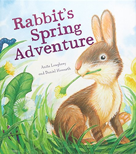 Stock image for Animal Seasons: Rabbit's Spring Adventure for sale by AwesomeBooks