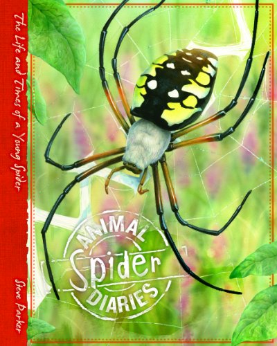 Stock image for Animal Diaries: Spider for sale by WorldofBooks