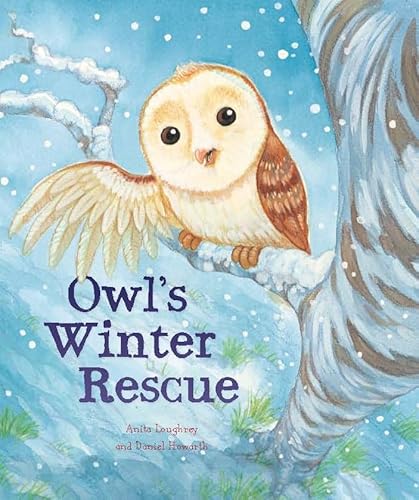 Imagen de archivo de Owl's Winter Rescue (Animal Seasons) a la venta por WorldofBooks