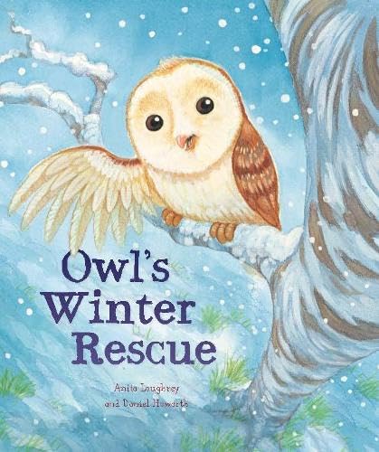 Stock image for Animal Seasons: Owl's Winter Rescue for sale by AwesomeBooks