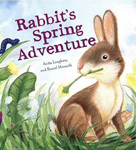 Imagen de archivo de Animal Seasons: Rabbit's Spring Adventure: 1 a la venta por WorldofBooks