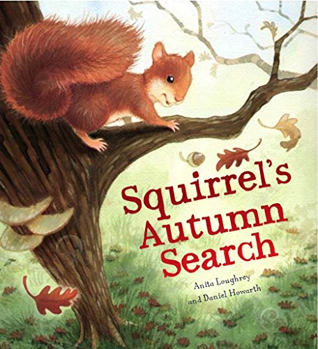 9781848358782: Squirrel's Autumn Search (Animal Seasons)