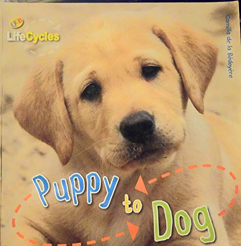 Stock image for Puppy to Dog for sale by SecondSale
