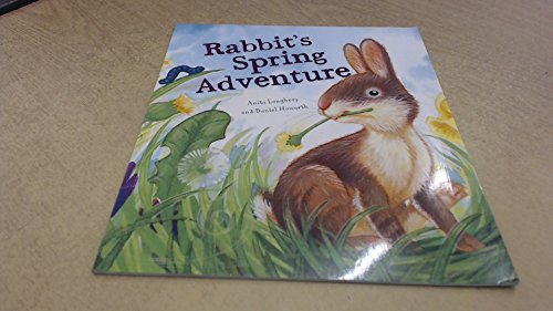 Beispielbild fr Rabbit's Spring Adventure zum Verkauf von WorldofBooks