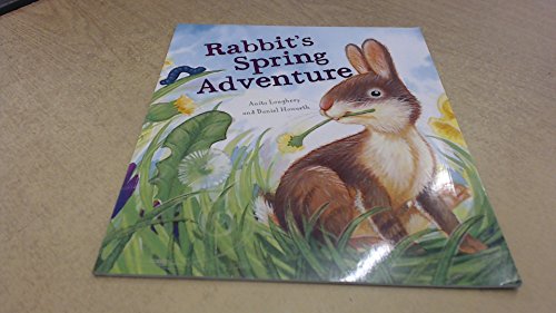 Imagen de archivo de Rabbit's Spring Adventure a la venta por WorldofBooks