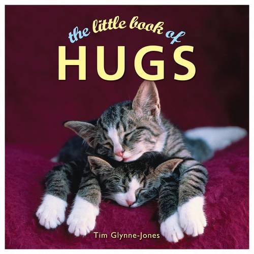 Beispielbild fr The Little Book of Hugs zum Verkauf von Better World Books