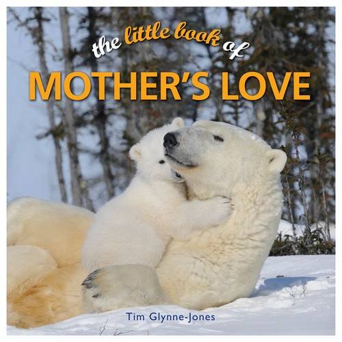 Stock image for Little Book of Mother's Love for sale by Wonder Book
