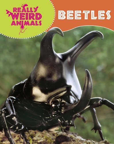 Beispielbild fr Beetles (Really Weird Animals) zum Verkauf von Reuseabook