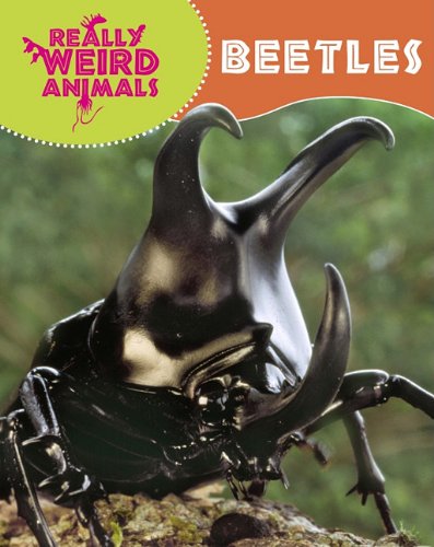 Stock image for Beetles (Really Weird Animals) for sale by Revaluation Books