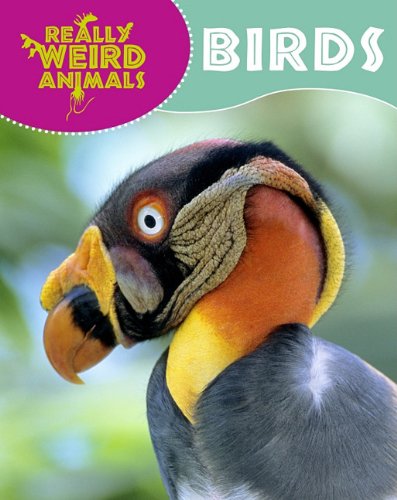 9781848379589: Birds (Really Weird Animals)