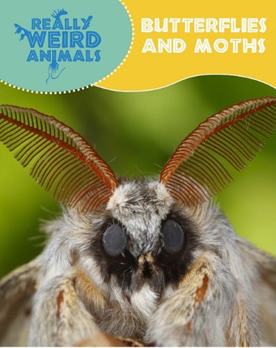 9781848379596: Butterflies and Moths (Really Weird Animals)
