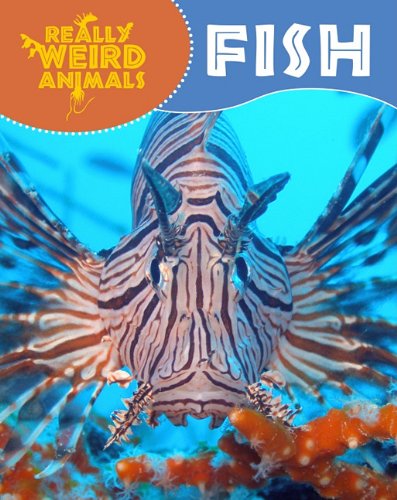 9781848379602: Fish (Really Weird Animals)