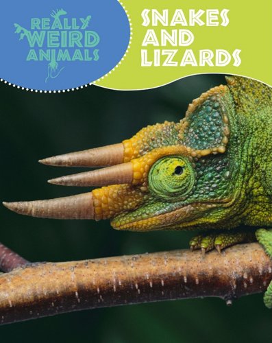 Stock image for Snakes and Lizards (Really Weird Animals) for sale by Half Price Books Inc.