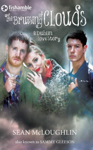 9781848403055: The Bruising of Clouds: A Dublin Love Story