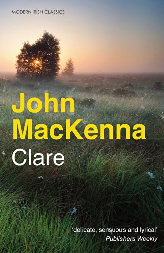 9781848403239: Clare (Modern Irish Classics)