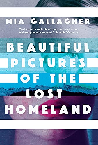Imagen de archivo de Beautiful Pictures of the Lost Homeland a la venta por Better World Books