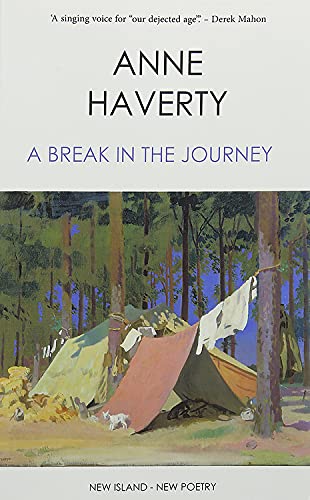 9781848406728: A Break in the Journey