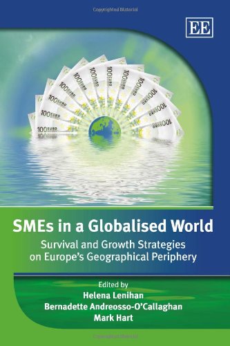 Stock image for SMEs in a Globalised World: Survival and Growth Strategies on Europes Geographical Periphery for sale by AwesomeBooks