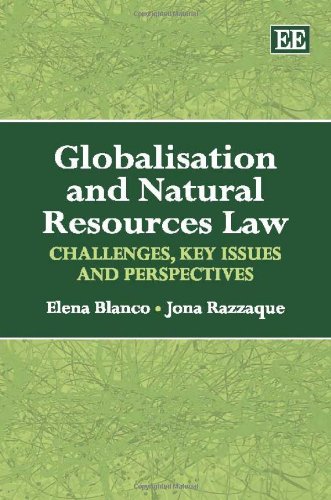 Imagen de archivo de Globalisation and Natural Resources Law a la venta por Books Puddle