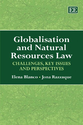 Beispielbild fr Globalisation and Natural Resources Law: Challenges, Key Issues and Perspectives zum Verkauf von WorldofBooks