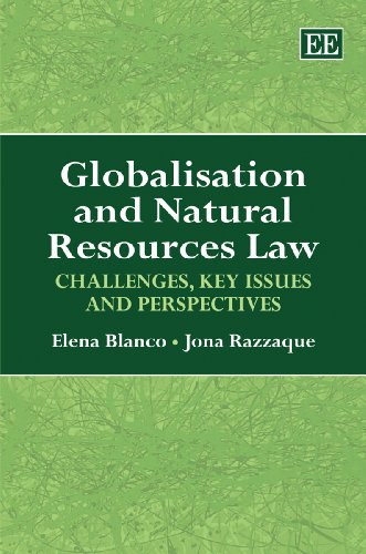 Imagen de archivo de Globalisation and Natural Resources Law: Challenges, Key Issues and Perspectives a la venta por WorldofBooks