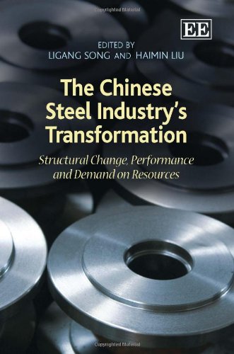 Imagen de archivo de The Chinese Steel Industry's Transformation Structural Change, Performance and Demand on Resources a la venta por PBShop.store UK